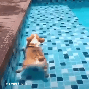 You practice swimming. Learn to swim this way