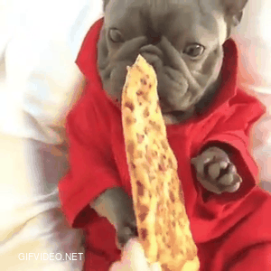 Waking up to pizza