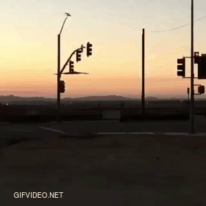 Weird video of a sunset and street lights