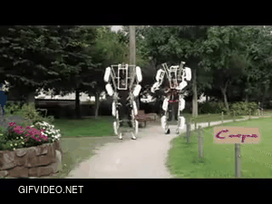 Japanese exoskeleton robot