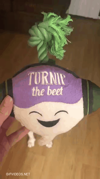 Back at it again ! Turnip on a Tuesday