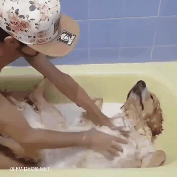 Bath time.