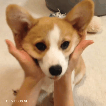 Can you ear me now?