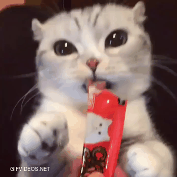 cat lick snacks are a thing