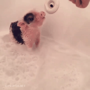Eating while taking a bath