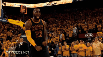 IDGAF about basketball, but this is gif is fucking glorious.
