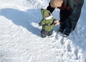 In case you've ever wondered what a clothed monkey would do in the snow: