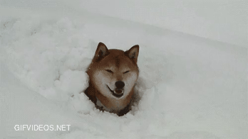 I've been keeping this gif to myself, and now I think I'll share it