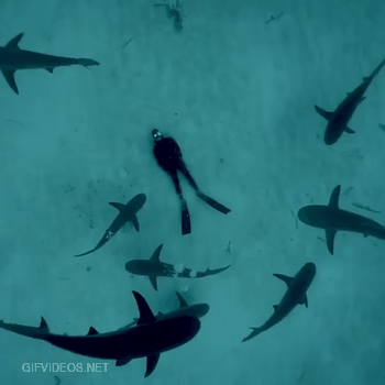 Just some Dude casually chilling on the Ocean floor surrounded by Sharks