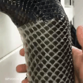 Peeling the long black snake