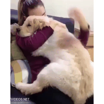 Sometimes, you just need a hug 