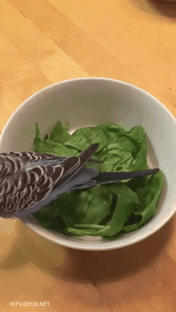 That's one way to eat spinach