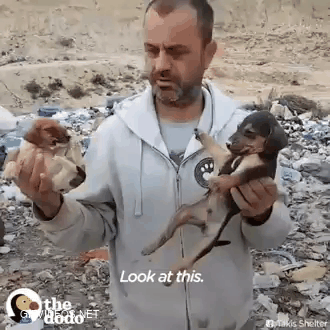This Guy Gave Up Everything He Owned To Save Hundreds of Stray Dogs