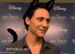 Tom is purrfect