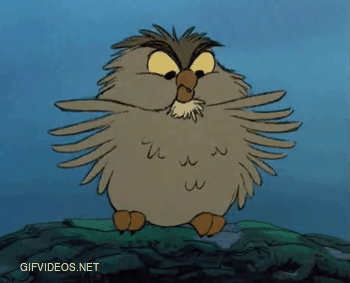 What what? In honor of Superb Owl Sunday, I give you my favorite animated version