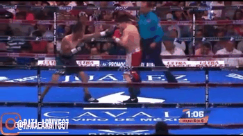 When the boxing match is sponsored by pornhub